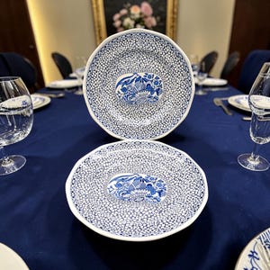 May include: Two round ceramic plates featuring a white and blue pattern. The rim and center are covered in a dense, small-scale floral or pebble-like motif. The central oval medallion displays a detailed illustration of a bird perched among flowers.