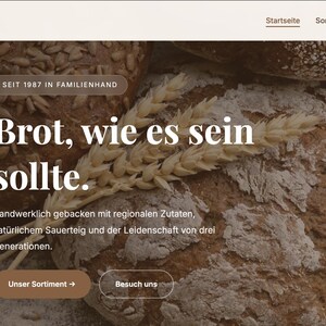 Professionelle Webpage Erstellung | Entwicklung bis Hosting (Basic)