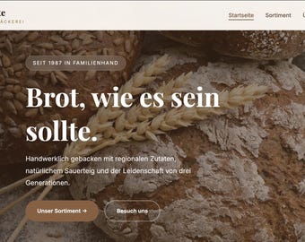 Professional website creation | Development to hosting (Basic)