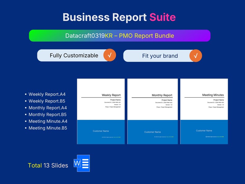 Premium PMO Reports Bundle