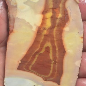 May include: A large, irregularly shaped piece of agate with a unique pattern of yellow, orange, and red bands. The agate has a smooth, polished surface and is translucent.