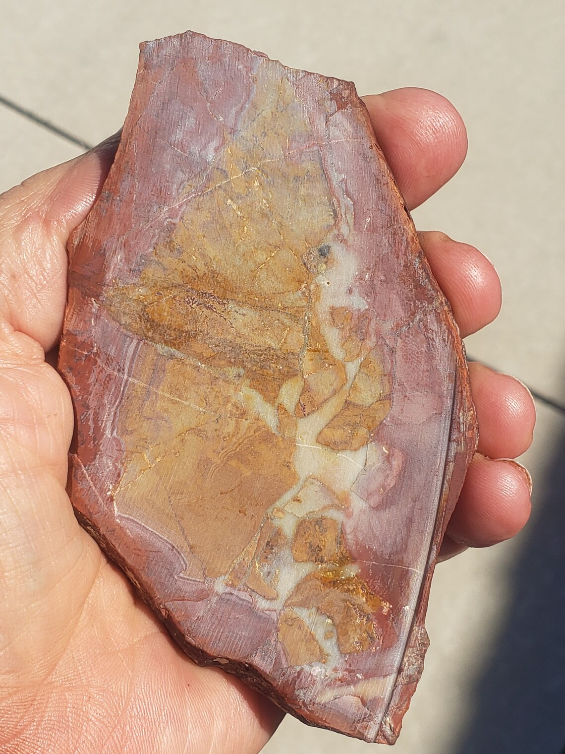 Mescalero Jasper Polished Specimen MJPS5C Etsy