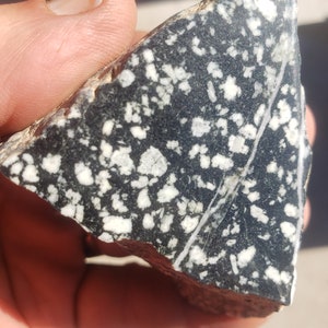 Sierra Snowflake Porphyry Polished Specimen SSPPS2A