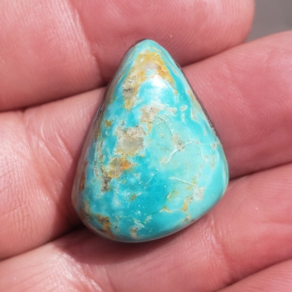 Turquoise Cabochon KTC2F