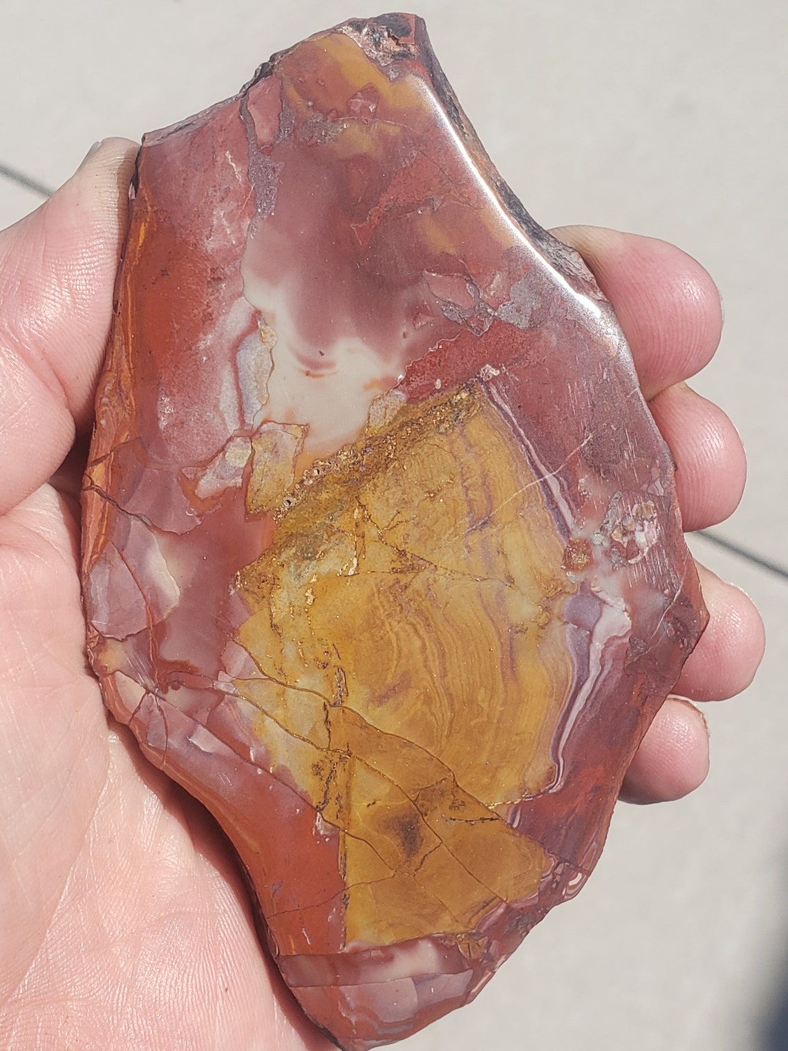 Mescalero Jasper Polished Specimen MJPS5C Etsy