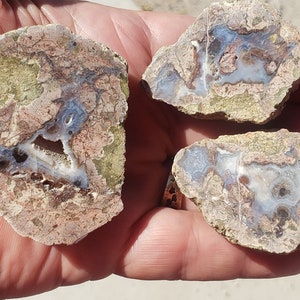 May include: Four agate slices with a variety of colors and patterns, including white, blue, brown, and green. The agate slices are rough and have a natural, unpolished look.