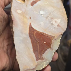 May include: A large, irregularly shaped piece of agate with a white, brown, and red color pattern. The agate has a smooth, polished surface.