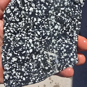Sierra Snowflake Porphyry Slab SSPS1P