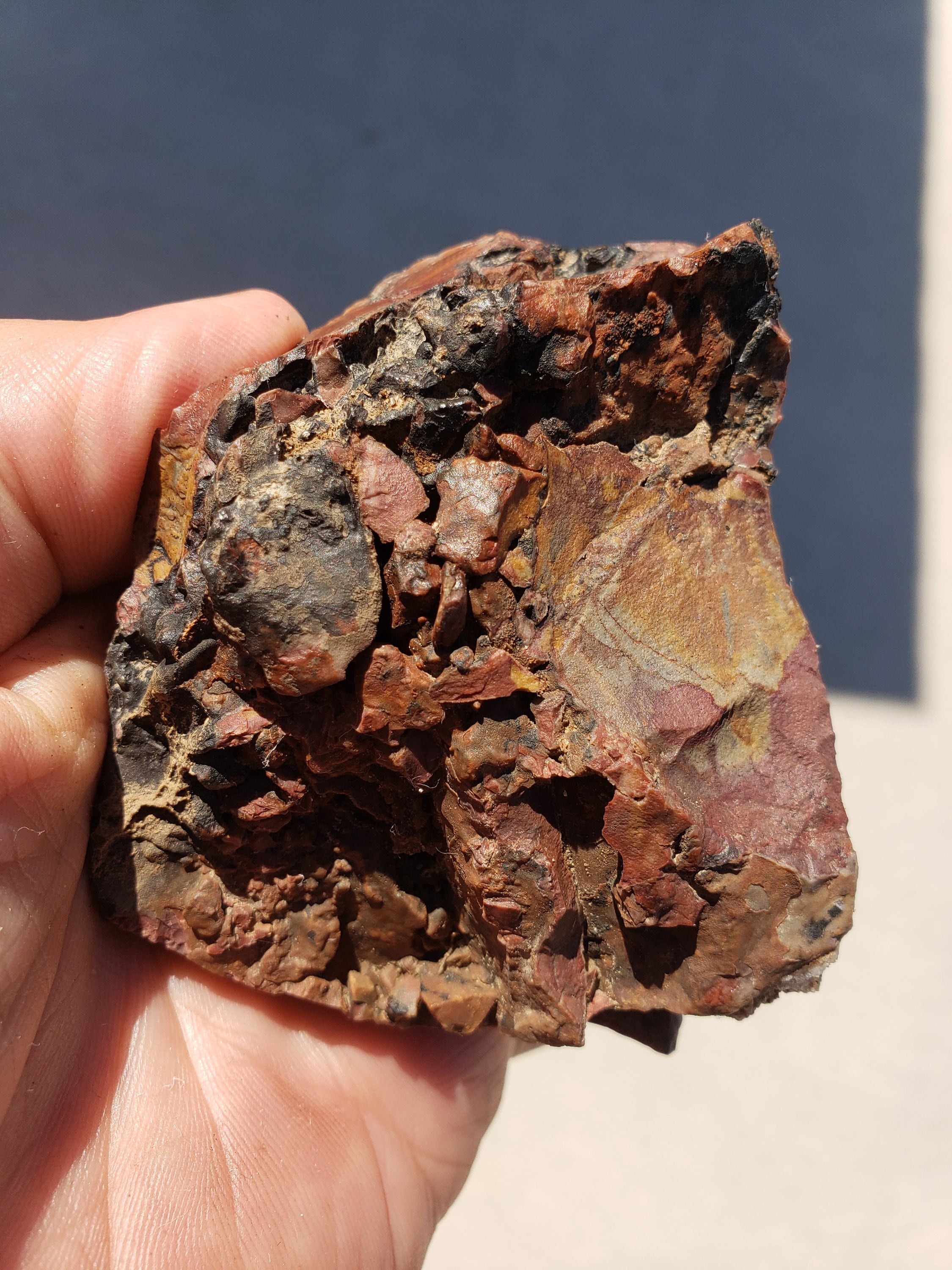 Mescalero Jasper Polished Specimen MJPS7 Etsy