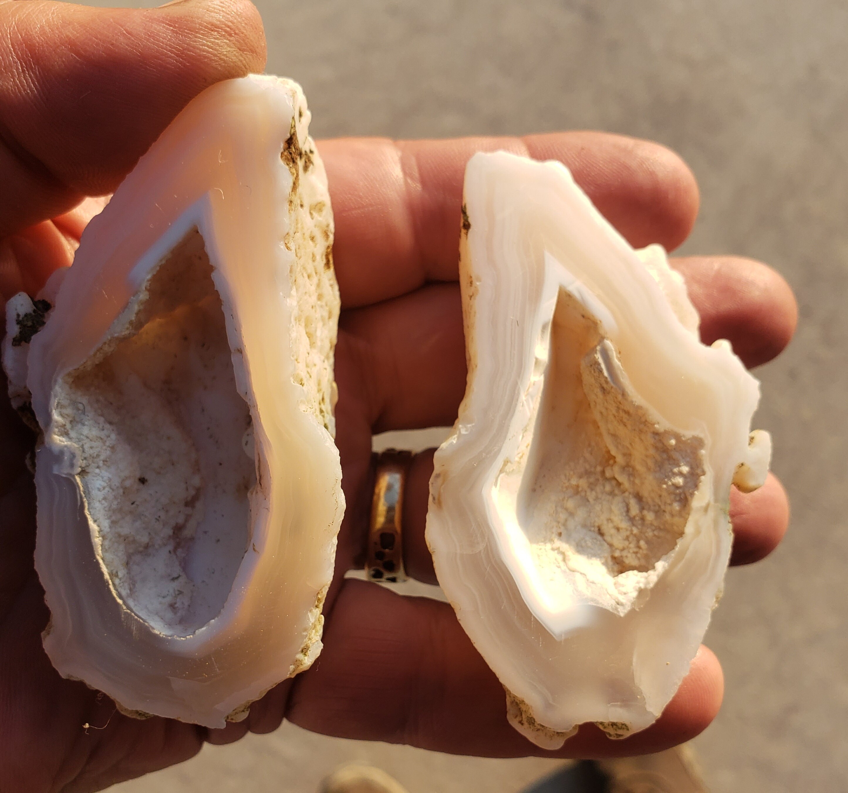 Agate Geode from Brady's Hot Springs Nevada Polished | Etsy