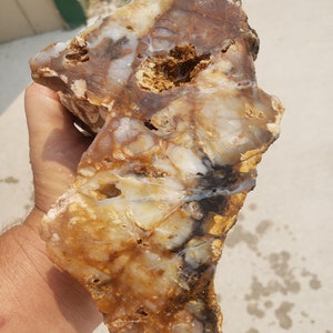 May include: A large, irregularly shaped stone with a polished surface. The stone features a mix of colors, including shades of brown, white, and yellow, with darker veins and patterns. The stone is held in a hand, showcasing its size and texture.