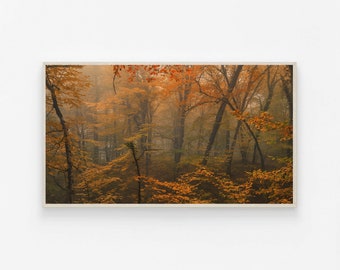 Fall Art, Samsung Frame TV Art, Instant Download, Fall, Pumpkins, Frame TV Art, Samsung Art TV, Digital Download for Samsung Frame