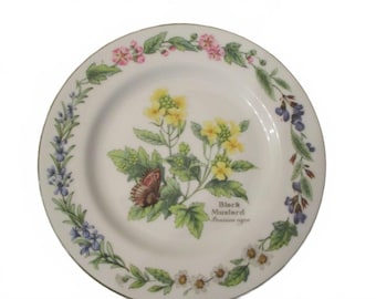 Piattini da pane Royal Worcester Herbs da 6,75" (set da 4) - Senape nera vintage