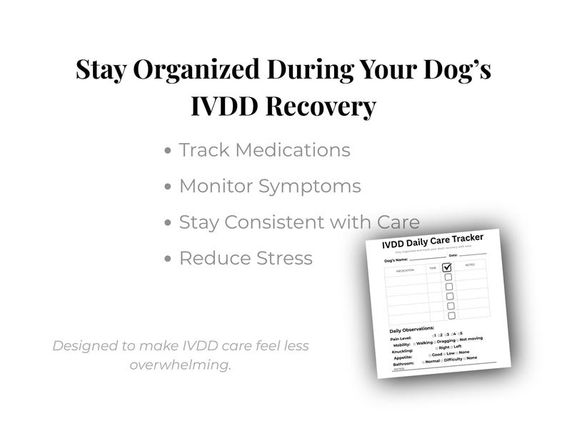 IVDD Dog Care Tracker Printable | Daily Medication Log & Symptom ...