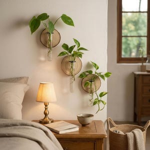 Op de afbeelding: Drie wandgemonteerde stekstations, elk bestaande uit een ronde achterwand van lichtgekleurde houten schijf en een doorzichtige glazen reageerbuis met een groene plant. De glazen buisjes zijn met zwart metaal aan het hout bevestigd.