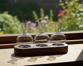 Station de multiplication de plantes , 3 vases en tube de verre sur support en bois , Jardinière d'intérieur hydroponique , Plante unique , Cadeau amoureux pour elle