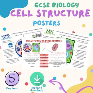 Op de afbeelding: Educatieve posters over celstructuur voor GCSE Biologie. De posters bevatten diagrammen van dierlijke en plantaardige cellen, en een vergelijking van eukaryoten en prokaryoten. De afbeelding bevat ook de tekst "5 Posters" en "Instant download".