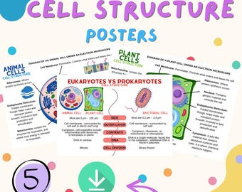 Pósteres de Biología GCSE sobre la estructura celular / Células animales, vegetales y bacterianas (Descarga digital)