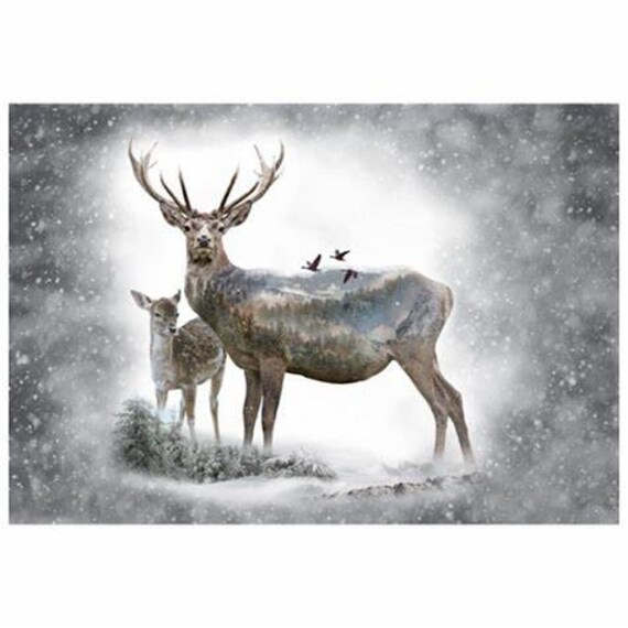 Dawn digital panel from Hoffman fabrics