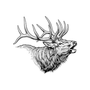 Ilustracja wektorowa łosia ryczącego, SVG, PNG, JPG, głowa łosia, clipart jelenia, sylwetka łosia, Cricut do polowania, projekt dzikiej przyrody, na zewnątrz, sztuka drukowana