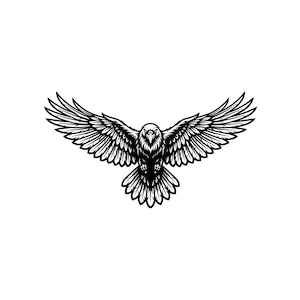 May include: A black and white graphic illustration of a raven in flight with its wings fully extended. The bird is depicted from a front-facing perspective, showcasing detailed feather patterns on its wings and tail against a plain background.