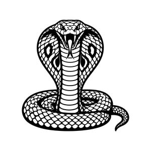 May include: A black and white graphic illustration of a cobra snake in a coiled position with its hood flared, mouth open, and tongue extended. The design features detailed scale patterns across the body and head in a high contrast style.