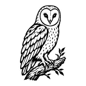 Peut inclure: Une illustration graphique en noir et blanc représentant une effraie des clochers perchée sur une branche d'arbre texturée. Le hibou est représenté de profil avec des plumes détaillées, un disque facial en forme de cœur et des serres.