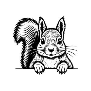 May include: A black and white graphic illustration of a squirrel peeking over a horizontal line. The squirrel has large eyes, detailed fur texture, long whiskers, and a bushy tail, rendered in a clean, high-contrast line art style.