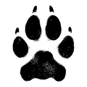 May include: A black graphic illustration of an animal paw print featuring a large central pad and four smaller toe pads with visible claw marks at the top of each toe, presented as a high-contrast design on a plain white background.
