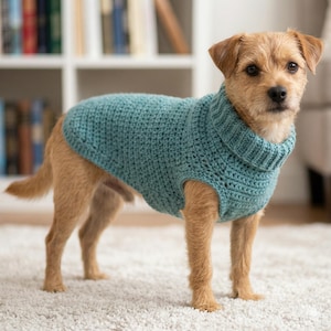 Modèle de pull pour chien au crochet, manteau facile pour animal de compagnie, vêtements pour petit chien (téléchargement PDF)