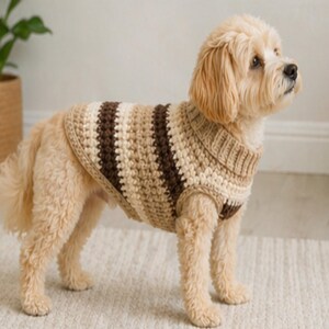 Peut inclure: Un petit chien porte un pull crocheté à la main. Le pull présente des rayures horizontales marron et beige. Le chien se tient sur un tapis de couleur claire. Un vêtement confortable pour animaux de compagnie.