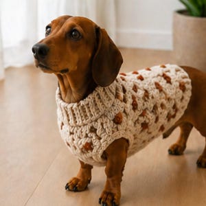 Op de afbeelding: Een bruine teckel draagt een crèmekleurige, open geweven gehaakte trui met bruine accenten. De hond staat binnen en kijkt naar links. De trui heeft een coltrui.