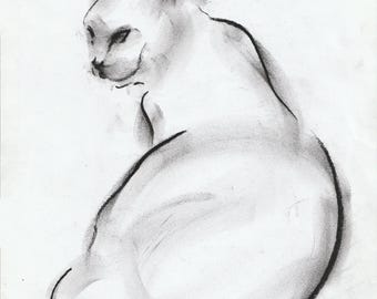 Dibujo original a grafito sobre papel "Gracia en las sombras"