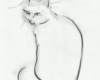 Original Graphite drawing on paper "Cat"