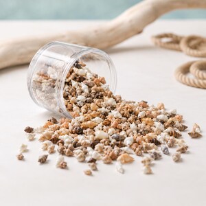Peut inclure: Un bocal en plastique transparent incliné sur le côté, déversant une grande collection de minuscules coquillages naturels en spirale dans des tons de blanc, de beige, de brun clair et de brun foncé. Les petits coquillages pointus sont éparpillés.