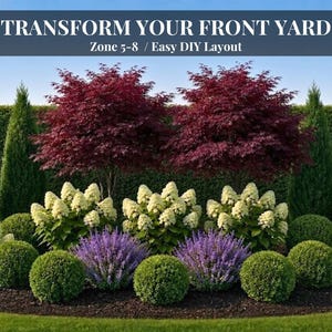 May include: A garden landscape design featuring two deep red Japanese maple trees, white hydrangea bushes, purple salvia, and rounded green shrubs. Text at the top reads: TRANSFORM YOUR FRONT YARD, Zone 5-8 / Easy DIY Layout.