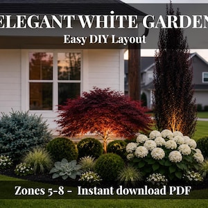 Peut inclure: Aménagement paysager de jardin blanc élégant avec des arbustes bleu-vert, un érable japonais rouge et des hortensias blancs. Le texte "ELEGANT WHITE GARDEN" et "Easy DIY Layout" est affiché en haut. Le texte "Zones 5-8 - Instant download PDF" est en bas.