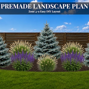 May include: A premade landscape plan with a Zone 4-9 Easy DIY Layout. The image shows a garden design with blue spruce trees, ornamental grasses, and purple flowers in front of a wooden fence, set against a blue sky.