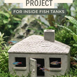 May include: A gray, miniature house with a chimney and open door, designed for an aquarium. The house is surrounded by green plants and small fish swim in and out of the windows. The text "AQUARIUM HOUSE PROJECT" is at the top.