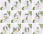 Baby Milestone Cards Printable | Cute Baby Animals Monthly Cards | Newborn Milestone Photo Props | Baby Shower Gift Printable
