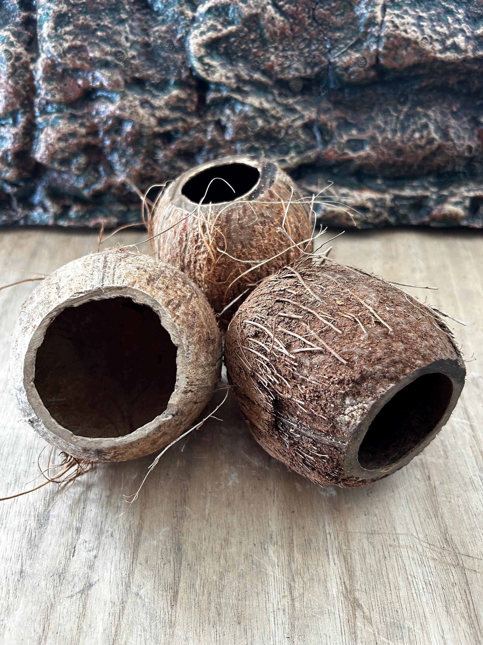Coconut Cave 3/4 | the Natural Cave - Etsy