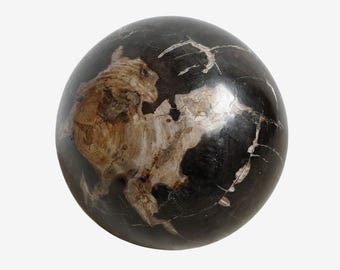 Large Polished Petrified Wood Sphere - Unique Fossilized Art Piece