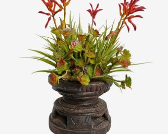 Vintage Seed Sorter with Faux Succulent - Unique Green Accent Display