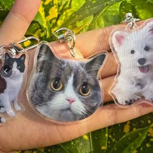 May include: Three clear acrylic keychains featuring pet portraits. One shows a black and white cat, another a gray and white cat face, and the third a white dog. Each keychain has a silver-colored clasp for attaching to keys or bags.