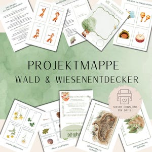 Puede incluir: Un conjunto de materiales educativos imprimibles con temática de la naturaleza. Los elementos incluyen tarjetas ilustradas, hojas de trabajo y una carpeta de proyecto titulada "Carpeta de proyecto Exploradores del bosque y la pradera". El diseño presenta ilustraciones de animales, plantas e instrumentos musicales.