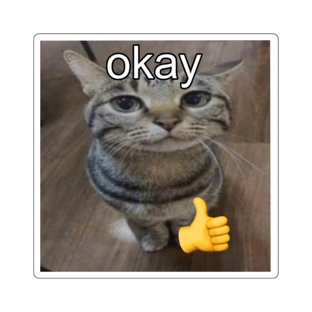 Okay Cat Thumbs up Sticker | Meme Cat Square Vinyl Decal - Etsy