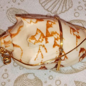 May include: A polished seashell pendant featuring a cream-colored surface with irregular brown markings. The shell is wrapped in thin gold-toned wire that secures a small metal loop at the pointed end, designed for attachment to a necklace or chain.