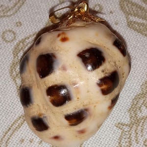 May include: A natural seashell pendant featuring a cream-colored surface with distinct, dark brown, rounded spots distributed across its exterior. The shell is topped with a gold-toned metal bail, providing a secure loop for attachment to a chain.