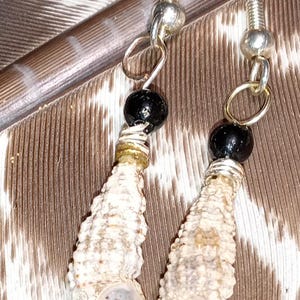 Florida Cerith Shell Earrings