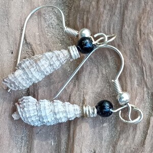 May include: A pair of handcrafted earrings featuring natural seashells. Each earring has a silver-tone hook, a black bead, and a small silver bead. The seashells are light beige with a textured surface, and the earrings are displayed on a wooden surface.